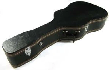 حالة الغيتار الصوتية